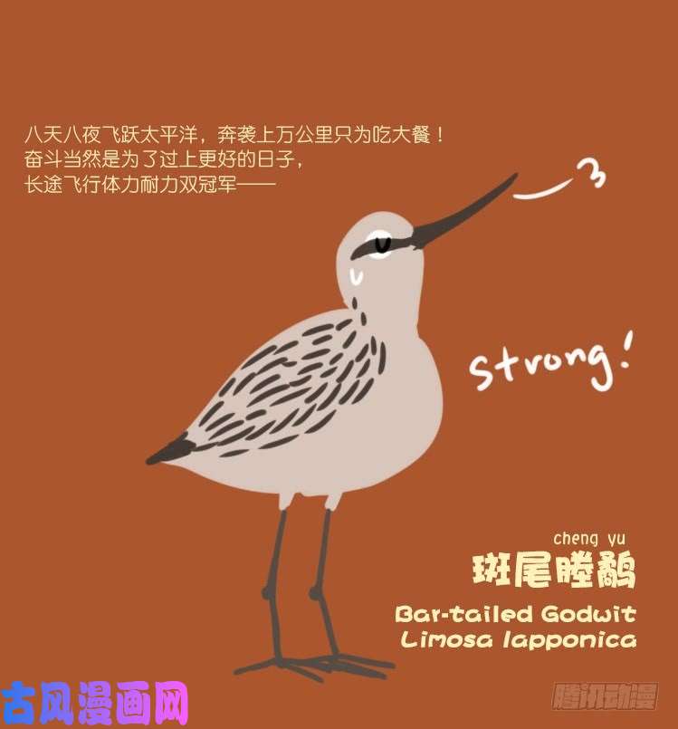 进化之基使命篇21：重振绯羽③