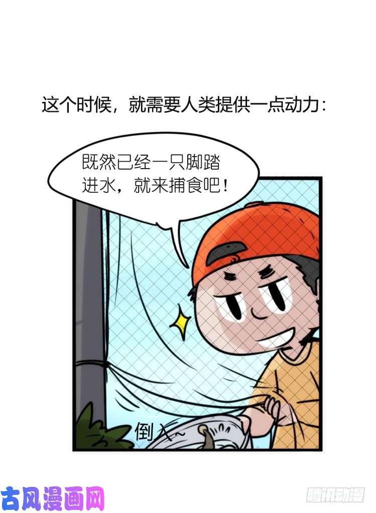 进化之基使命篇21：重振绯羽③
