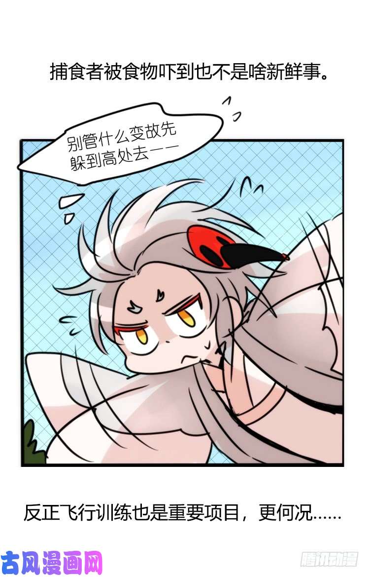 进化之基使命篇21：重振绯羽③