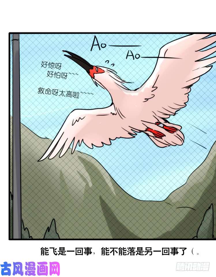 进化之基使命篇21：重振绯羽③