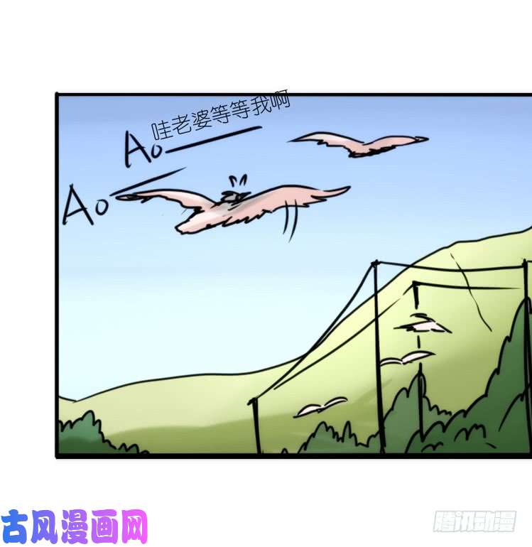 进化之基使命篇23：重振绯羽⑤