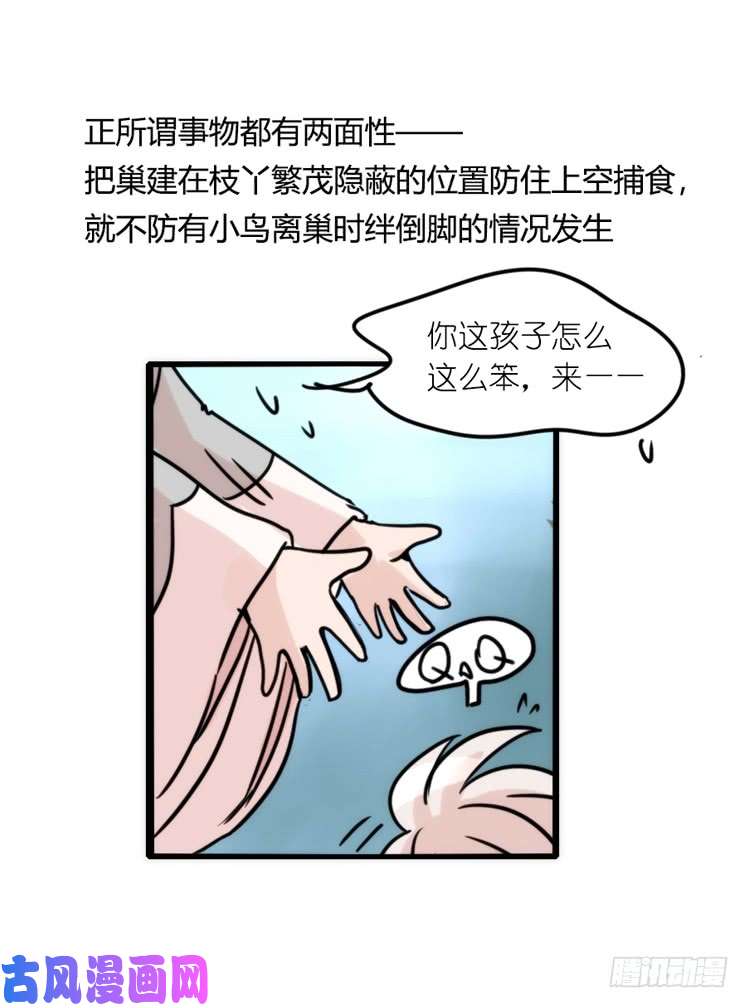 进化之基使命篇25：重振绯羽⑦