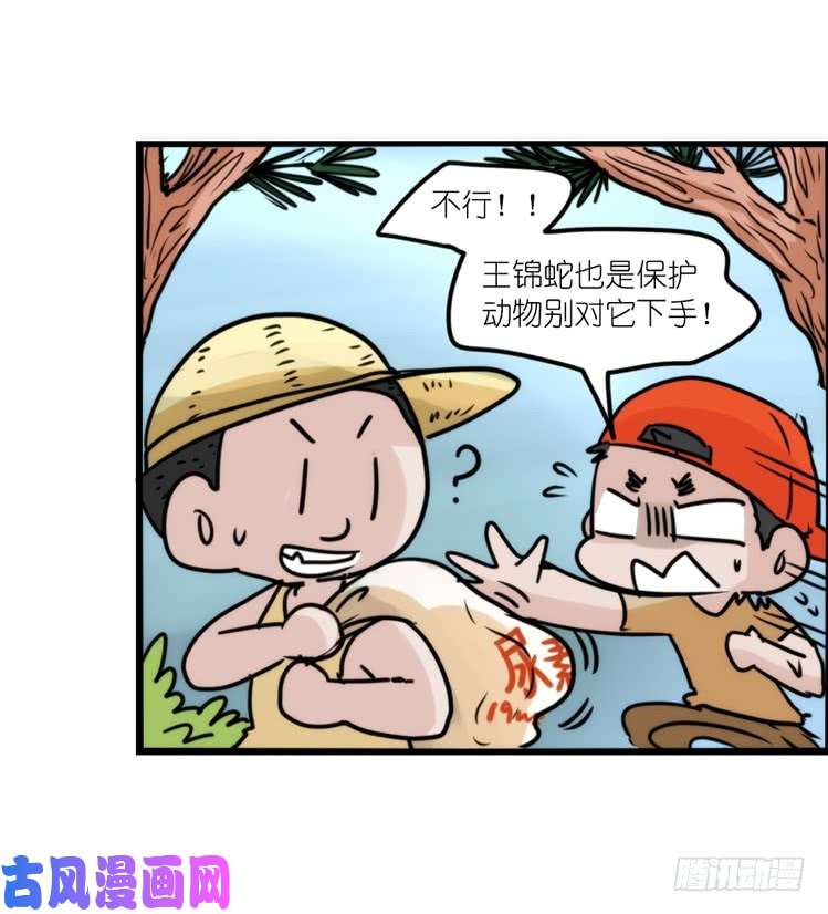 进化之基使命篇25：重振绯羽⑦