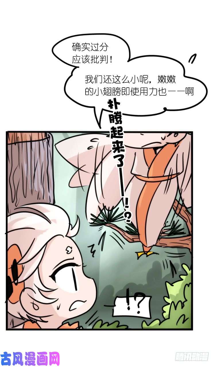 进化之基使命篇25：重振绯羽⑦
