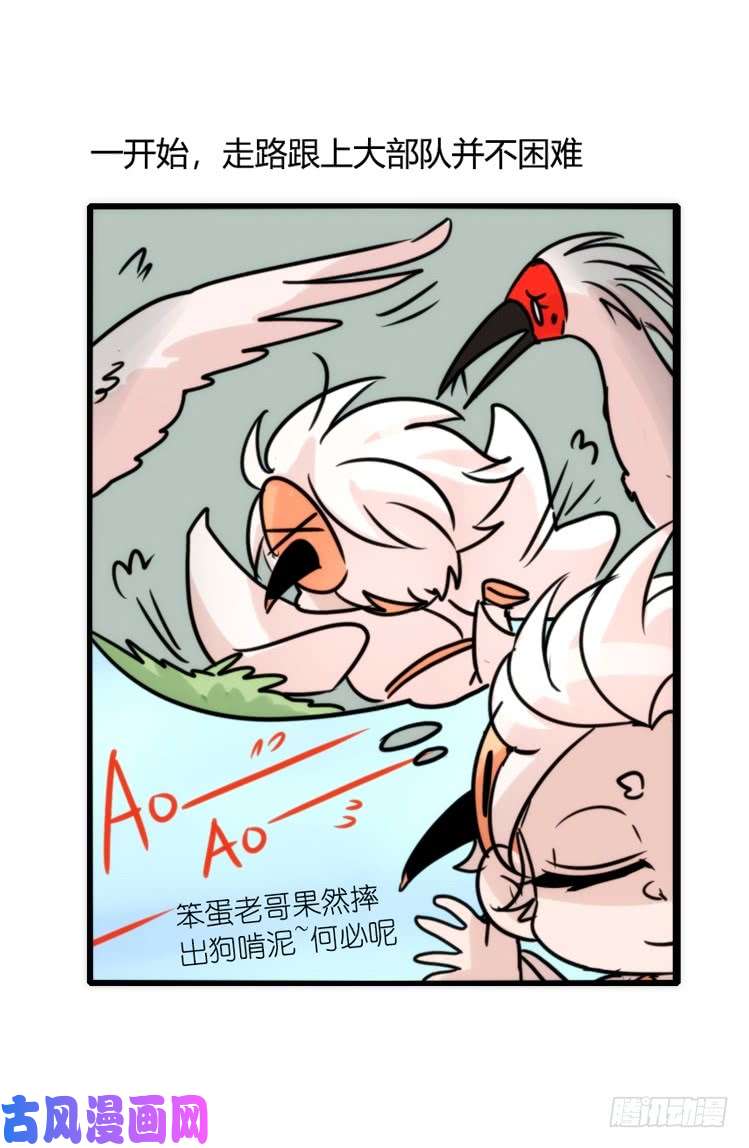进化之基使命篇25：重振绯羽⑦