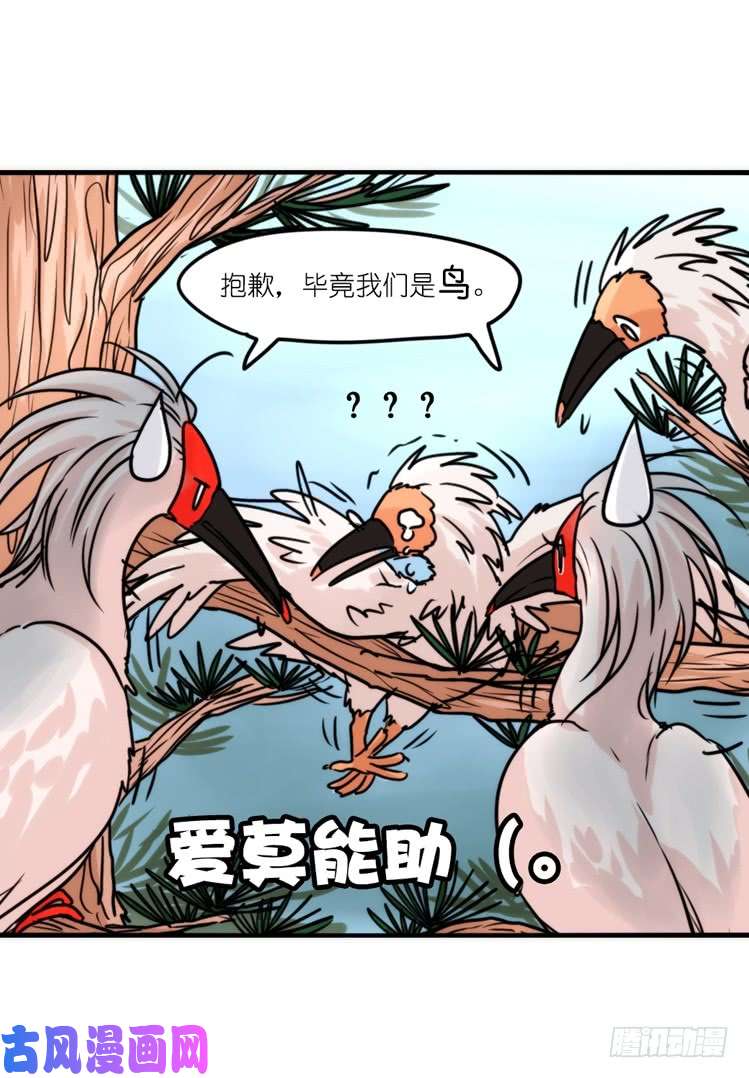 进化之基使命篇25：重振绯羽⑦