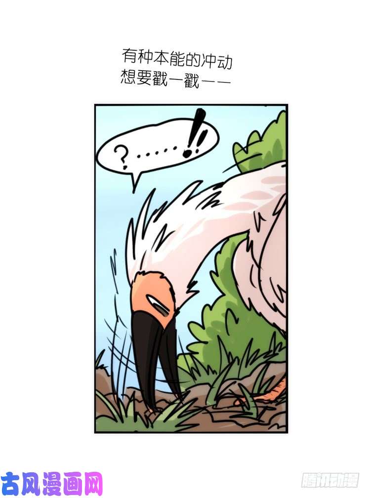 进化之基使命篇25：重振绯羽⑦
