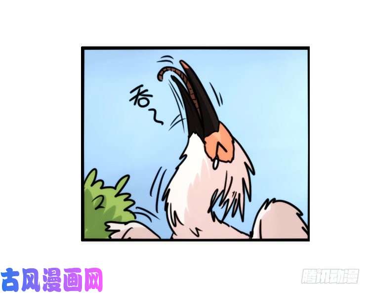 进化之基使命篇25：重振绯羽⑦