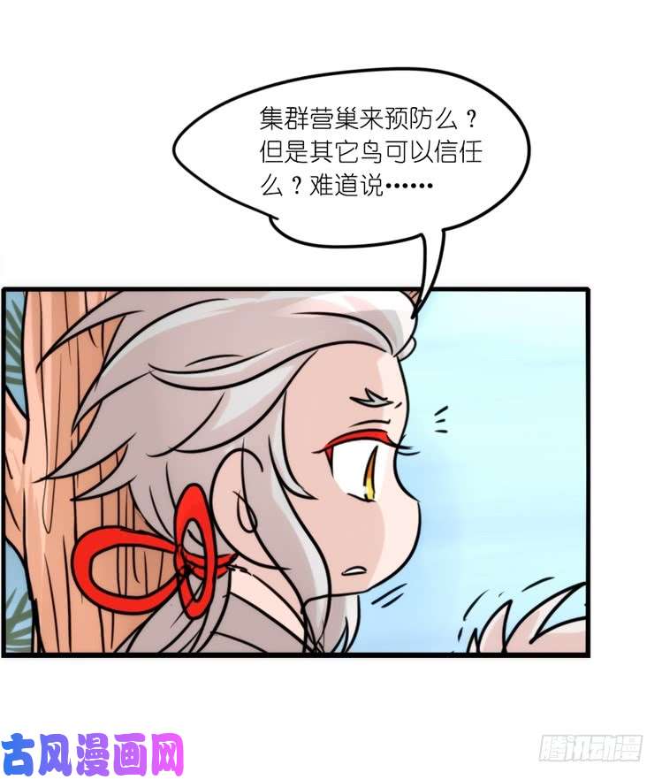 进化之基使命篇25：重振绯羽⑦
