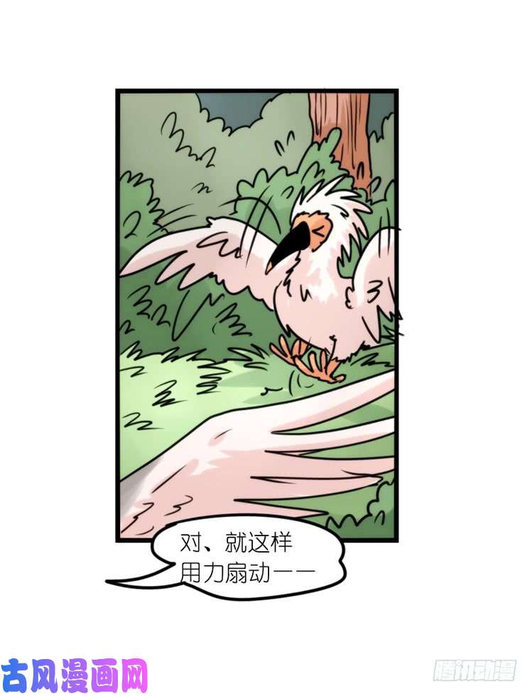 进化之基使命篇26：重振绯羽⑧鸟团圆