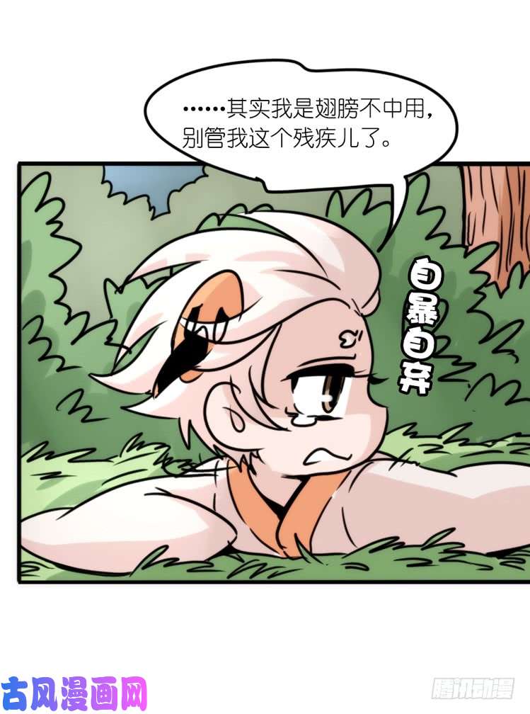 进化之基使命篇26：重振绯羽⑧鸟团圆