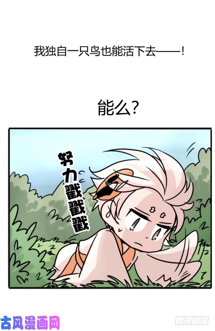 进化之基使命篇26：重振绯羽⑧鸟团圆
