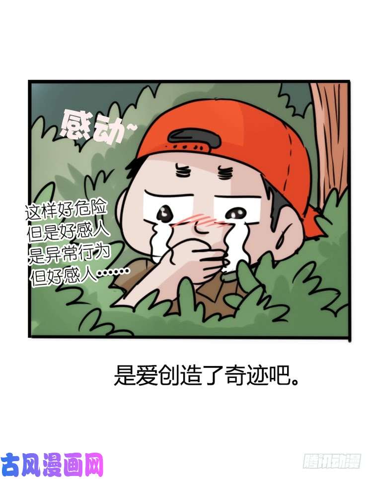 进化之基使命篇26：重振绯羽⑧鸟团圆