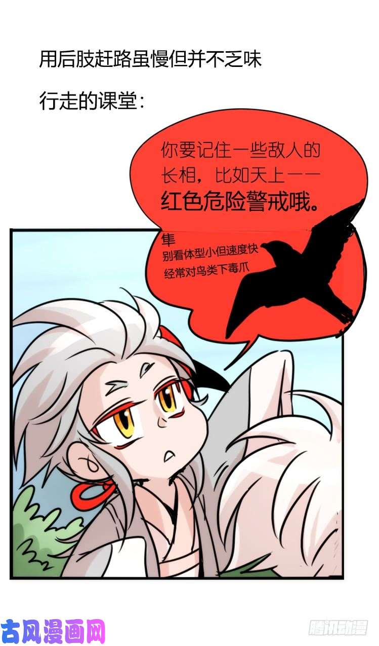 进化之基使命篇26：重振绯羽⑧鸟团圆