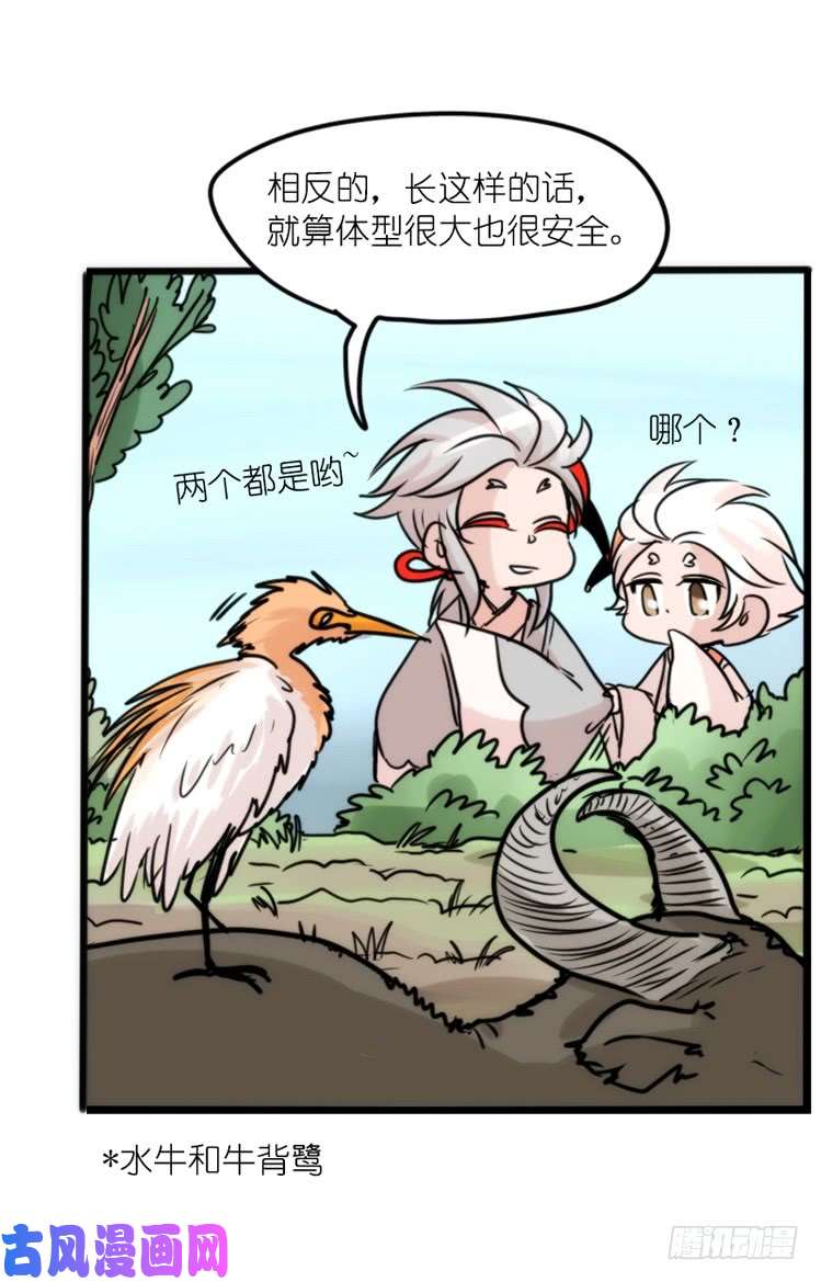 进化之基使命篇26：重振绯羽⑧鸟团圆