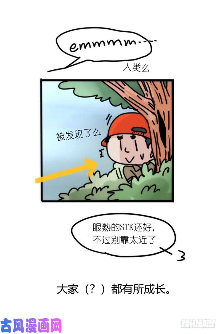 进化之基使命篇26：重振绯羽⑧鸟团圆