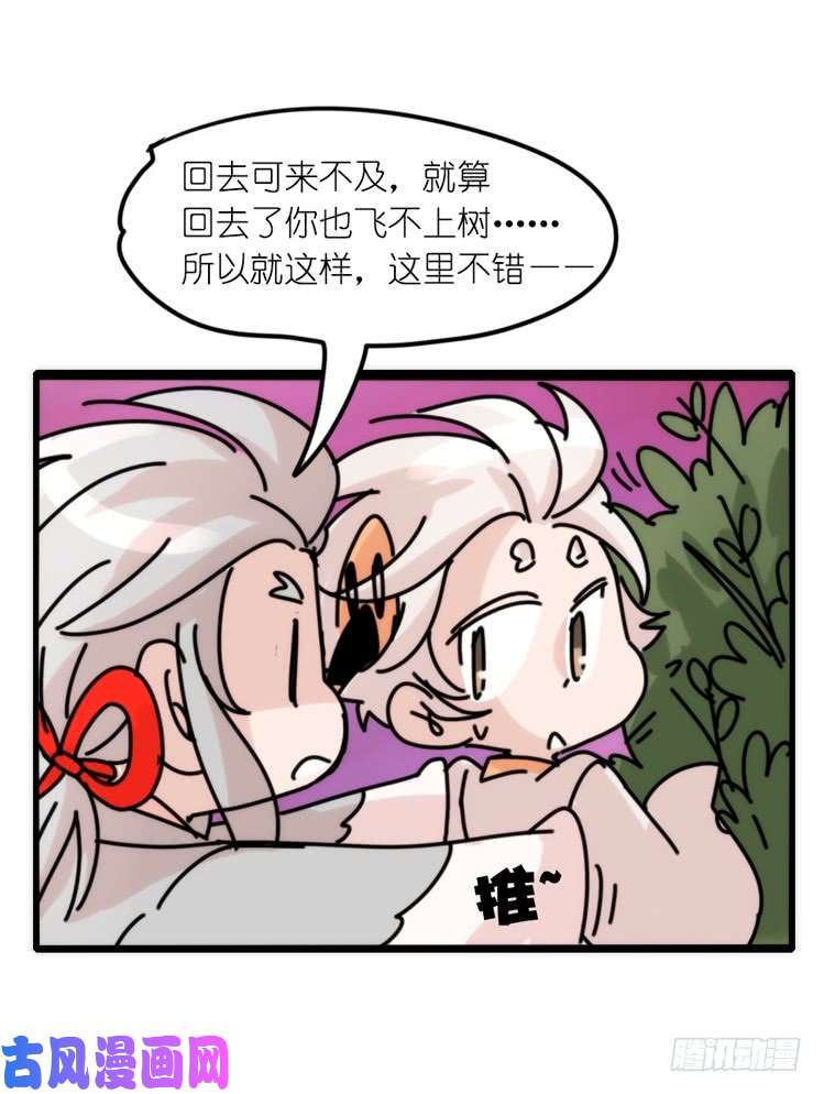 进化之基使命篇26：重振绯羽⑧鸟团圆