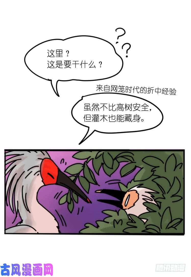 进化之基使命篇26：重振绯羽⑧鸟团圆
