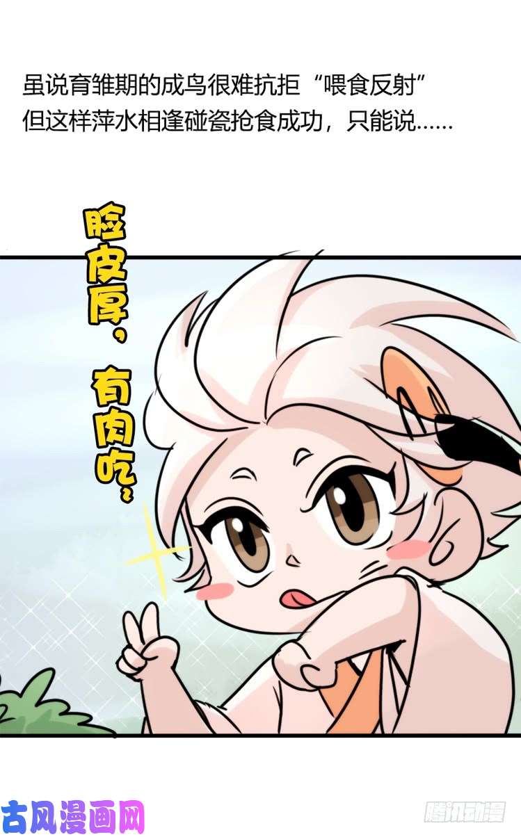 进化之基使命篇27-重振绯羽⑧