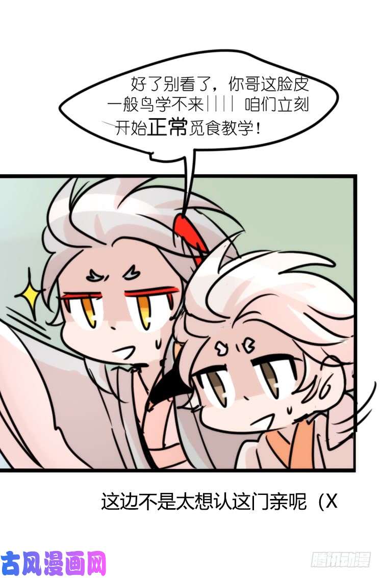 进化之基使命篇27-重振绯羽⑧