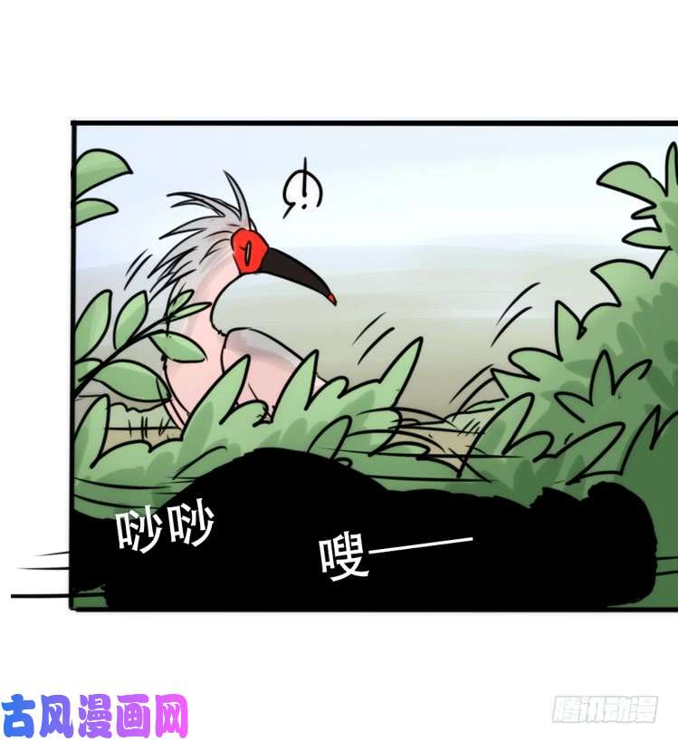 进化之基使命篇27-重振绯羽⑧