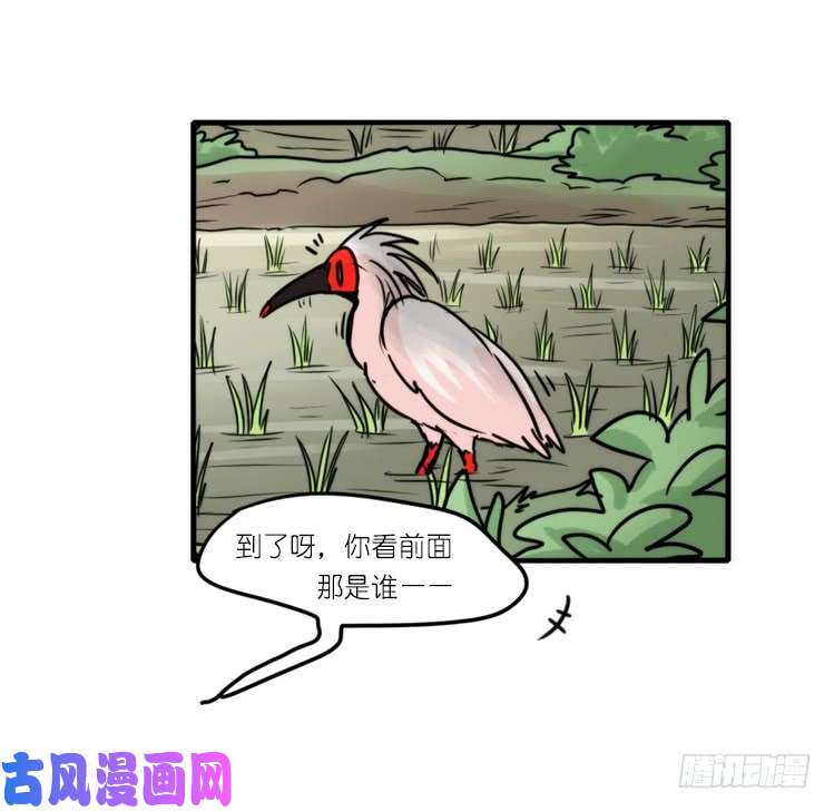 进化之基使命篇27-重振绯羽⑧