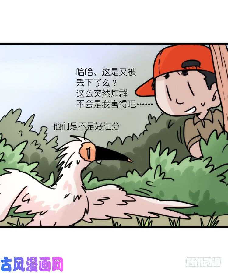进化之基使命篇27-重振绯羽⑧