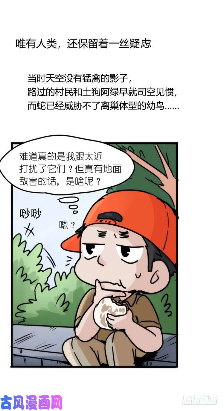 进化之基使命篇27-重振绯羽⑧