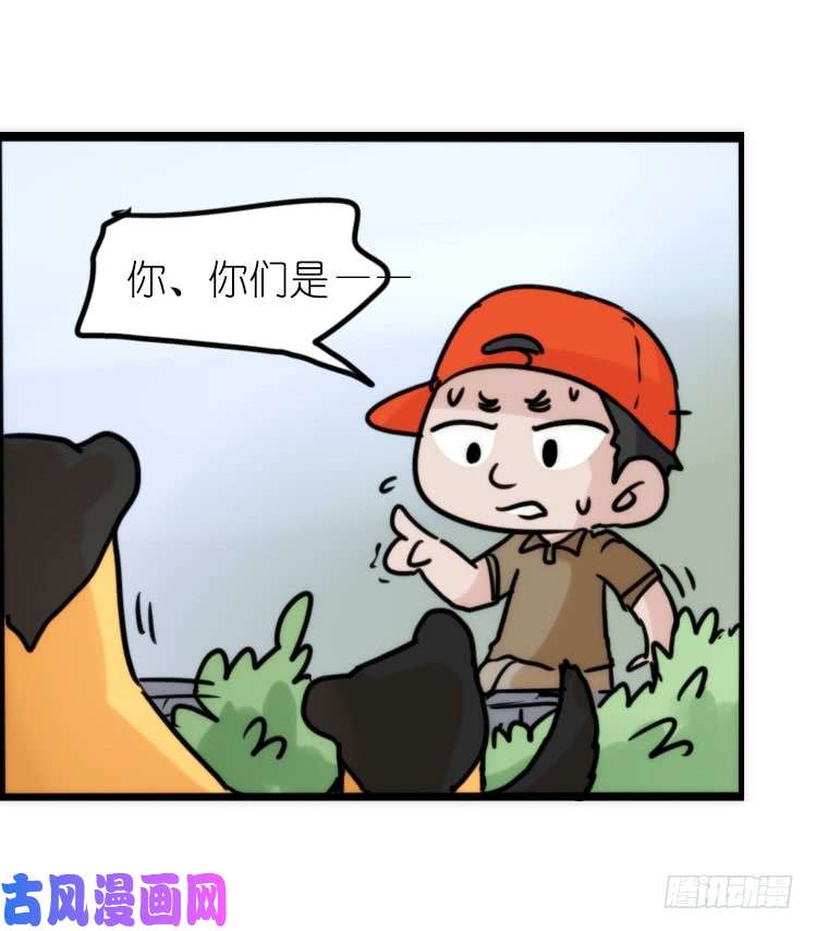 进化之基使命篇27-重振绯羽⑧