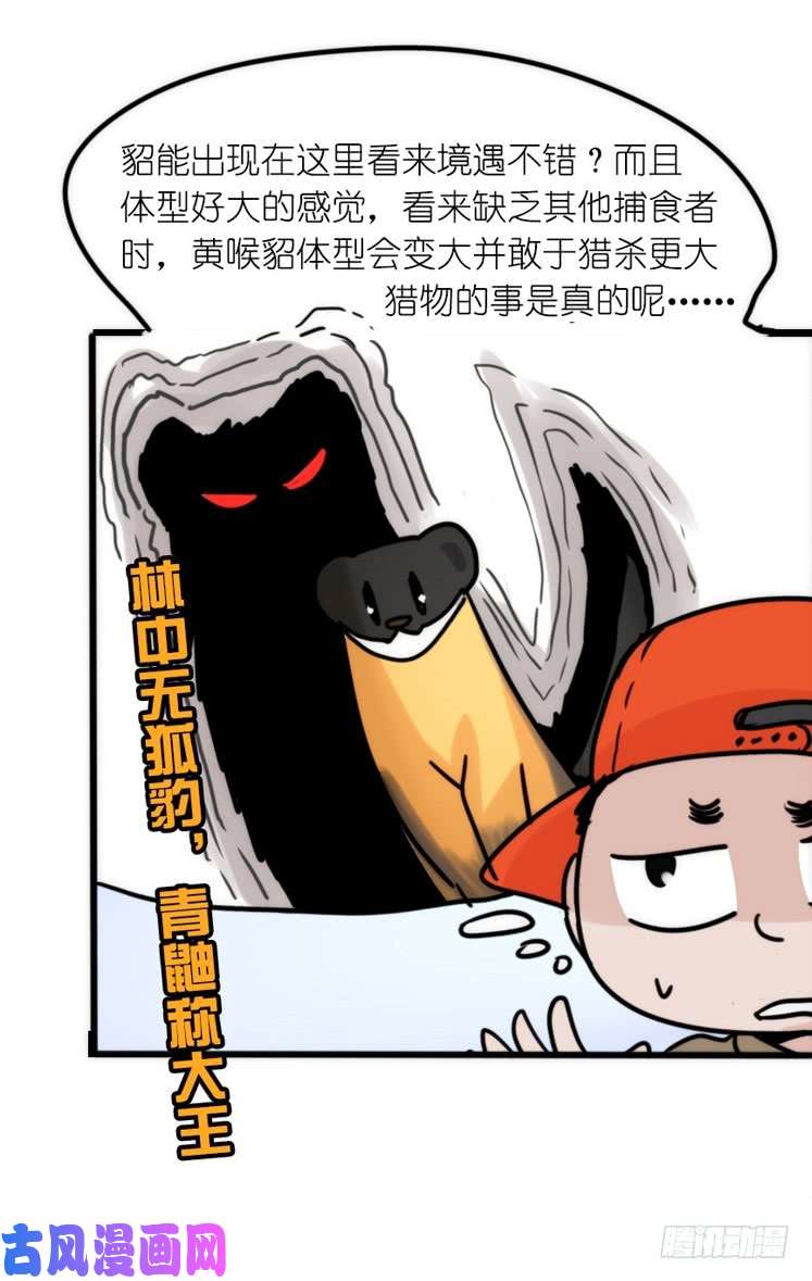 进化之基使命篇27-重振绯羽⑧