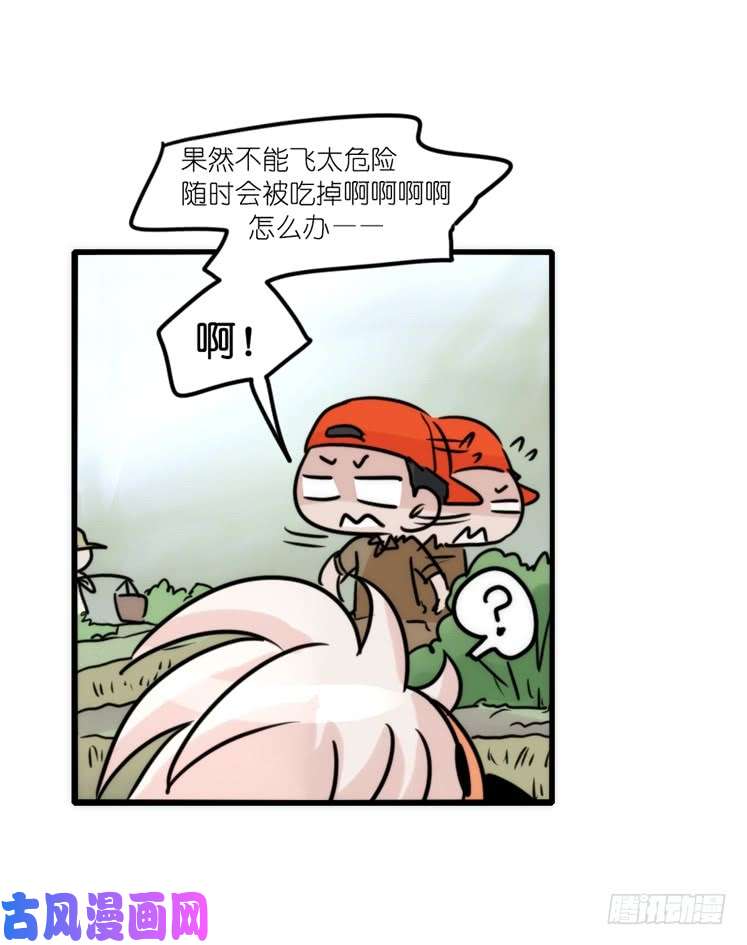 进化之基使命篇27-重振绯羽⑧