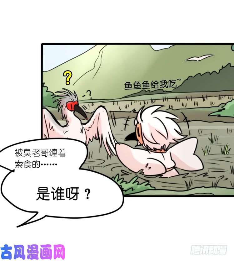 进化之基使命篇27-重振绯羽⑧