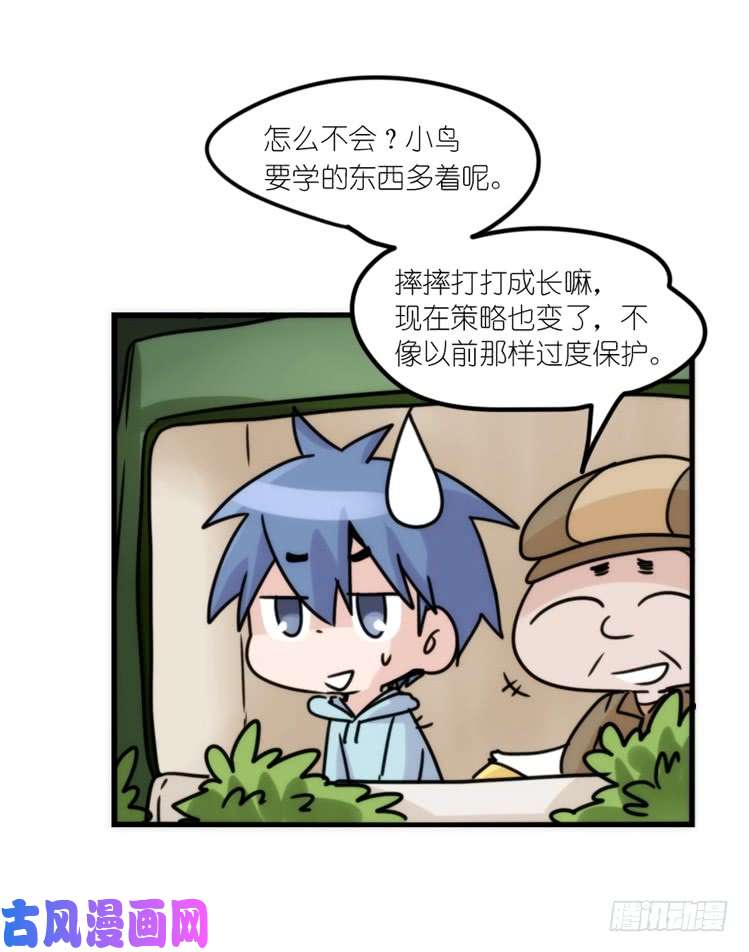 进化之基使命篇29：最优解