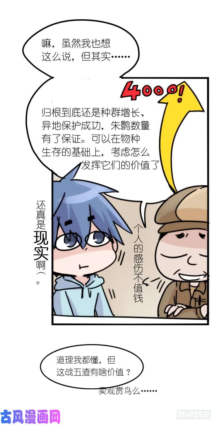 进化之基使命篇29：最优解