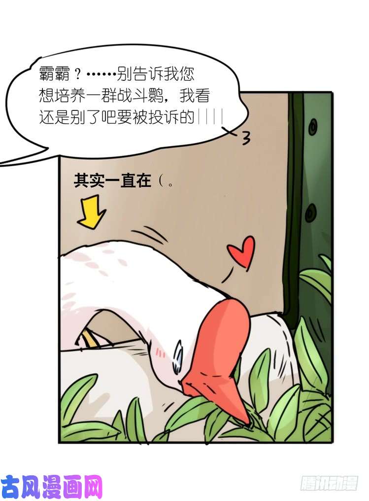进化之基使命篇29：最优解