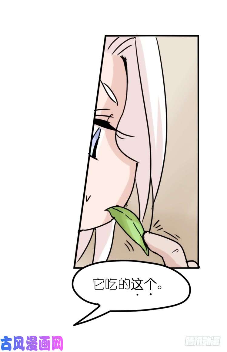 进化之基使命篇29：最优解