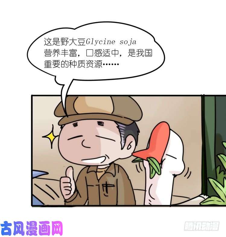 进化之基使命篇29：最优解