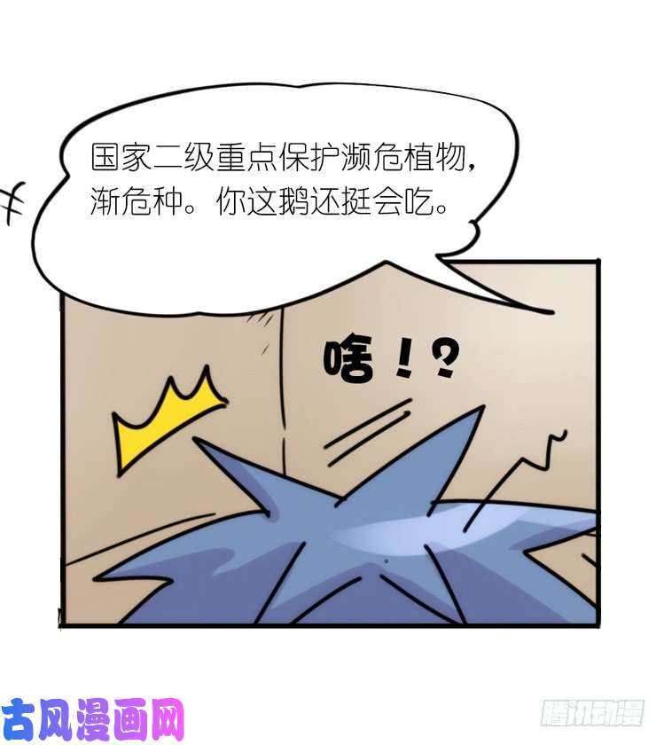 进化之基使命篇29：最优解