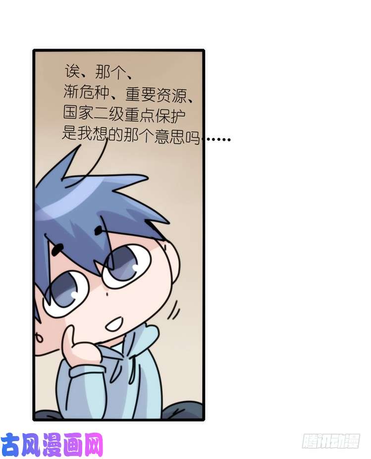 进化之基使命篇29：最优解