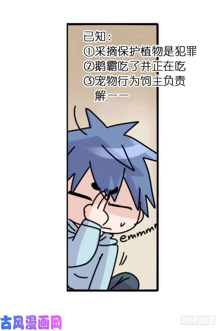 进化之基使命篇29：最优解