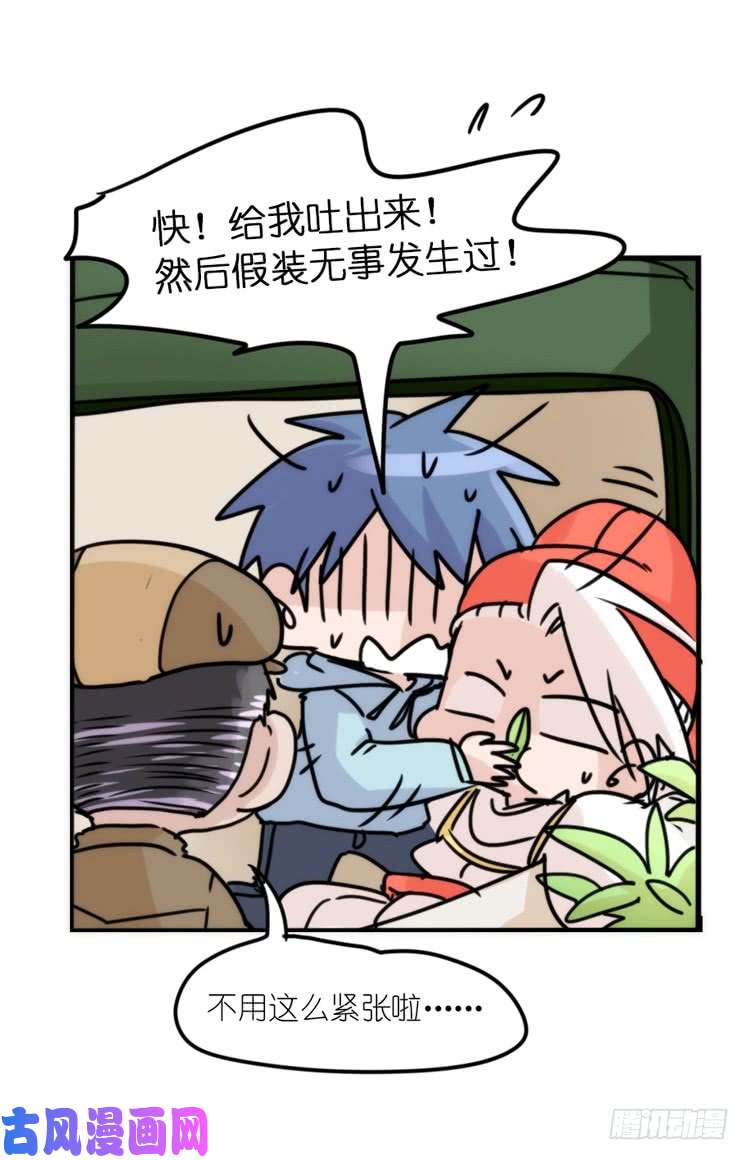 进化之基使命篇29：最优解