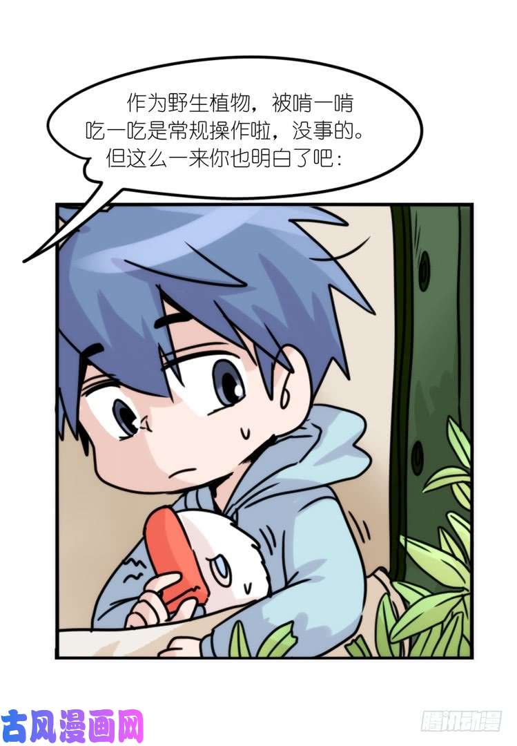 进化之基使命篇29：最优解