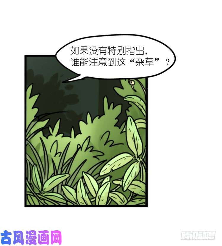 进化之基使命篇29：最优解
