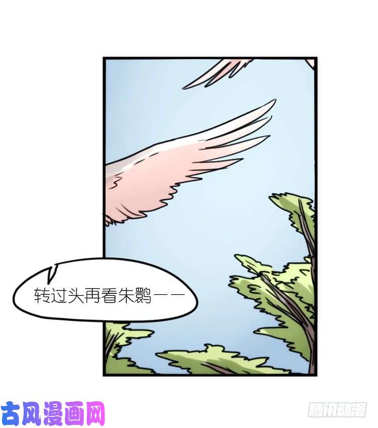 进化之基使命篇29：最优解
