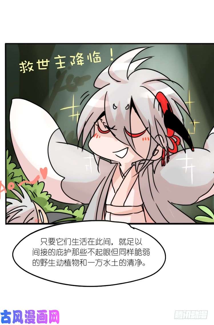 进化之基使命篇29：最优解