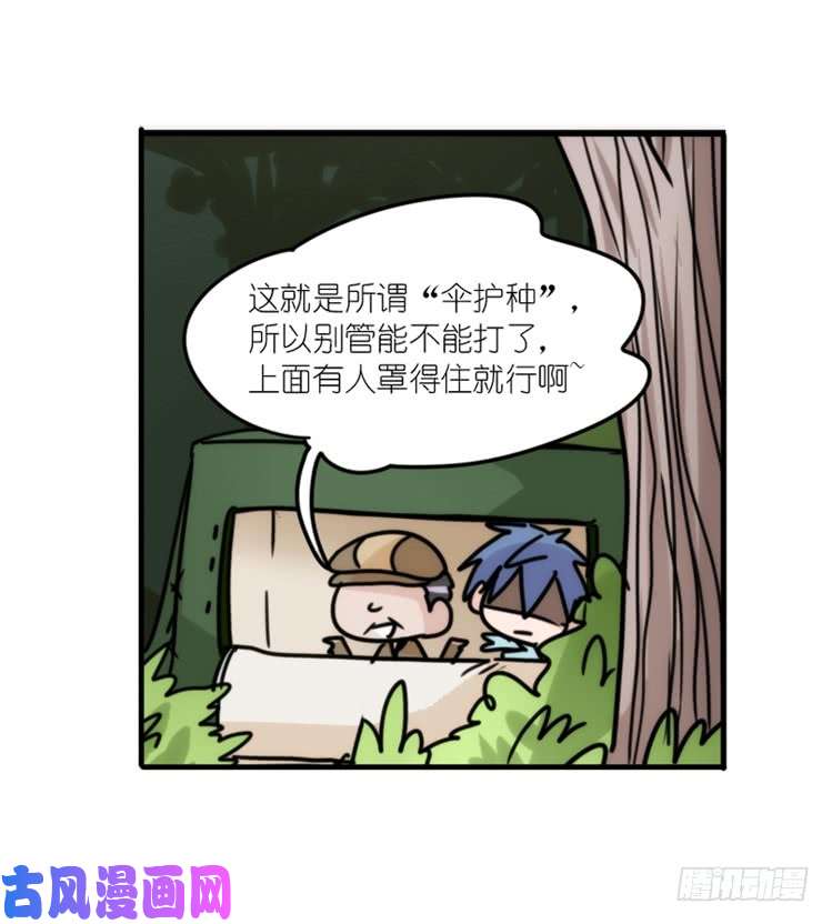 进化之基使命篇29：最优解