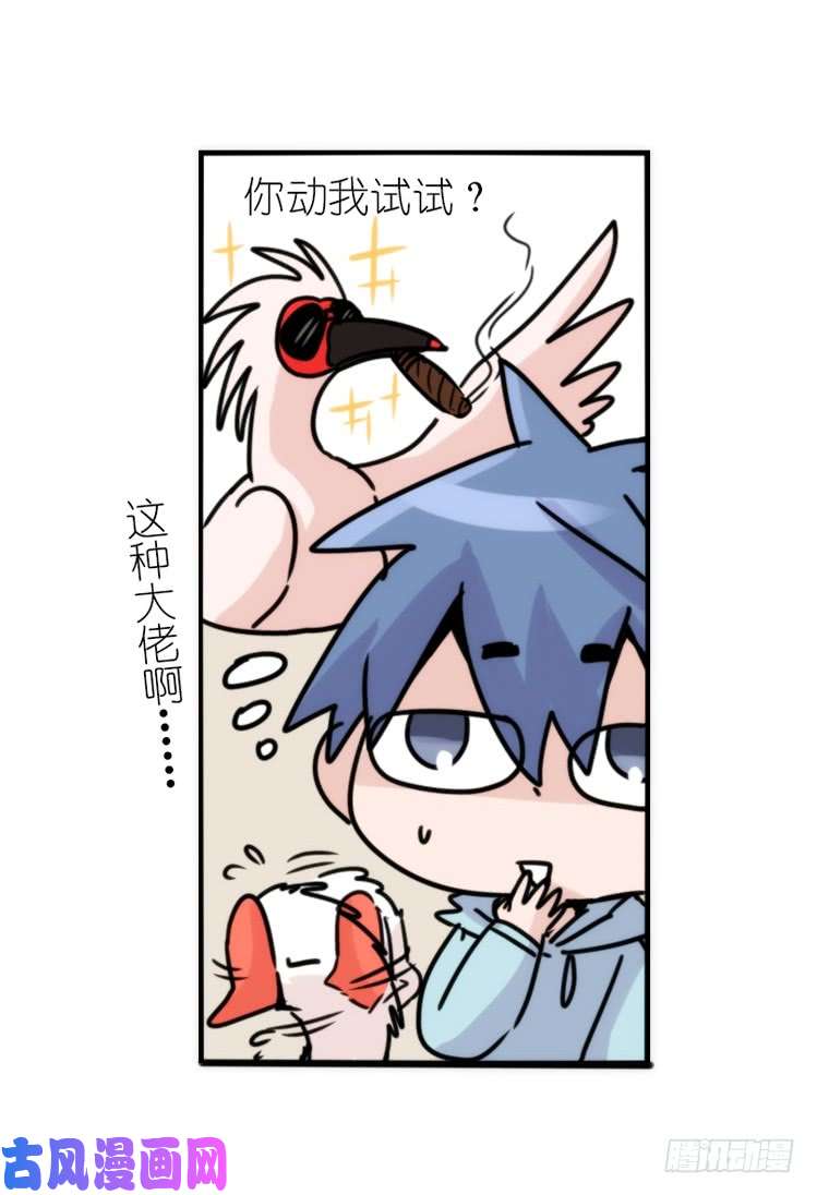 进化之基使命篇29：最优解