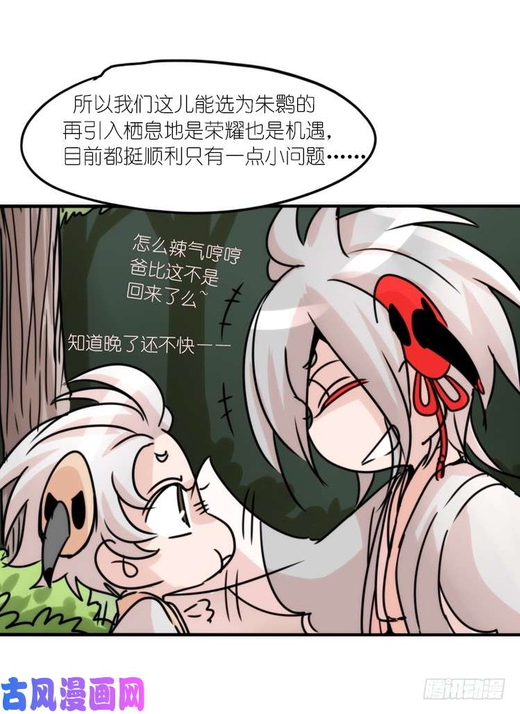 进化之基使命篇29：最优解