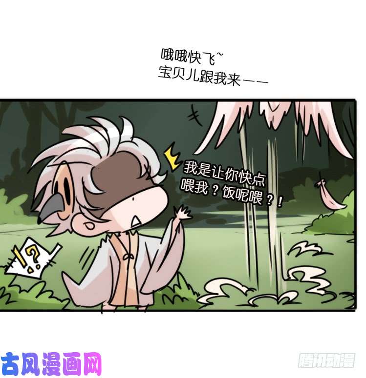 进化之基使命篇29：最优解