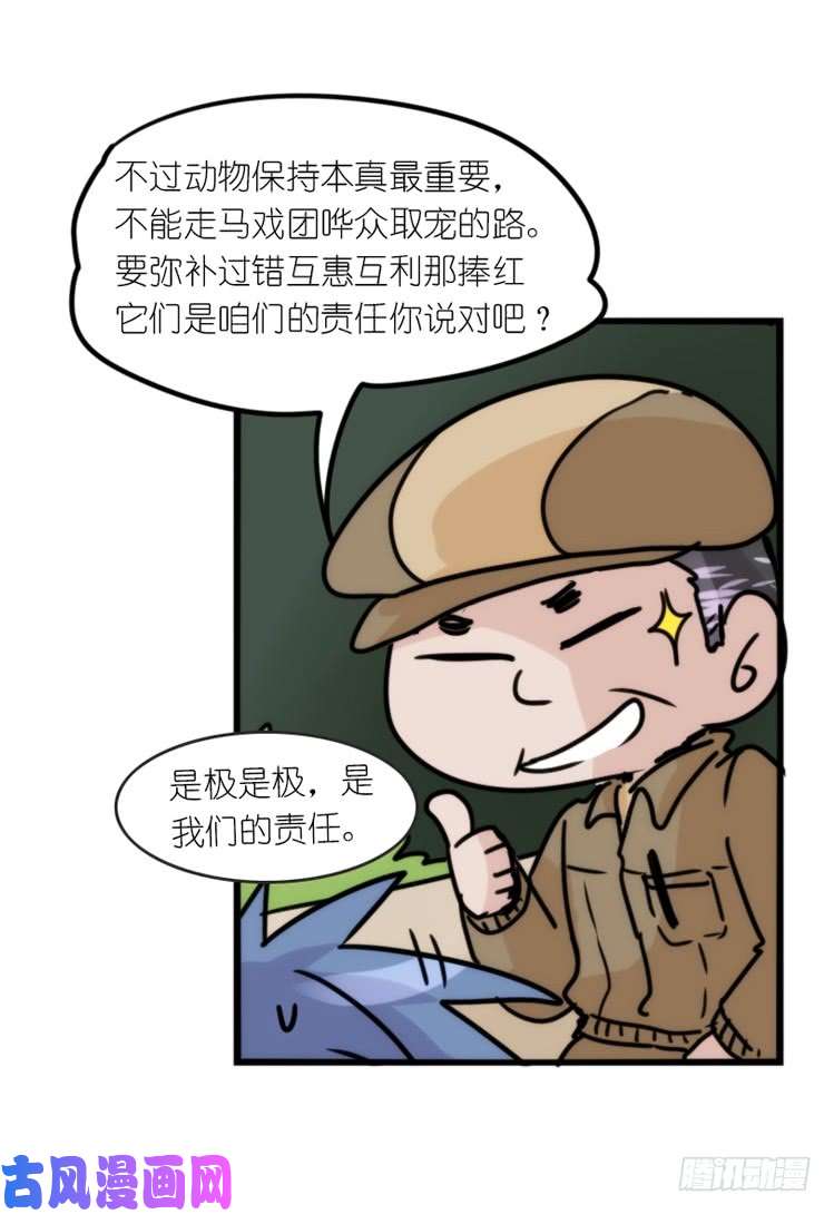 进化之基使命篇29：最优解